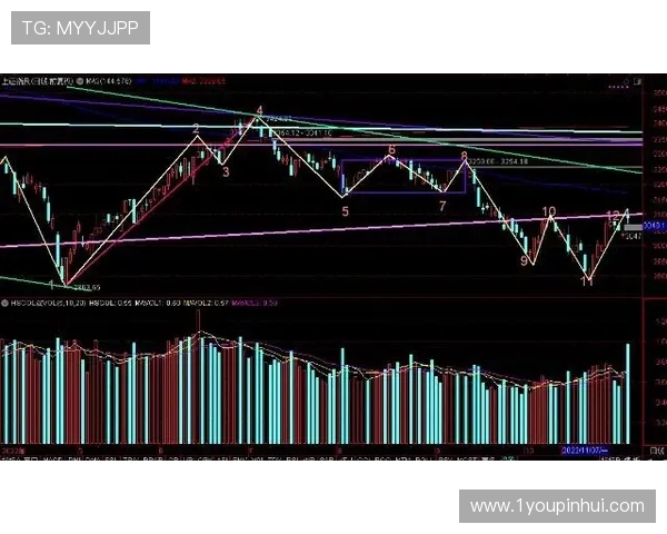 杭州排球队与西安排球队的赛后复盘与速度分析探讨